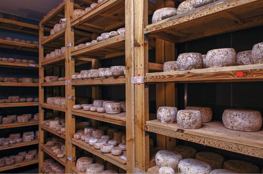 Storage of the cheese